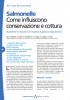 Salmonelle - Come influiscono conservazione e cottura