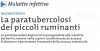 La paratubercolosi dei piccoli ruminanti