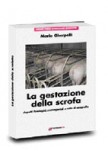 Gestazione della scrofa: aspetti fisiologici, manageriali e note di ecografia