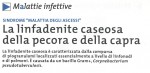 La linfadenite caseosa della pecora e della capra