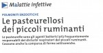 La pasteurellosi dei piccoli ruminanti