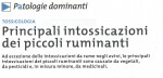 Principali intossicazioni dei piccoli ruminanti
