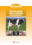 Patologie dell'ovaio nei ruminanti