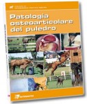 Patologia osteoarticolare del puledro
