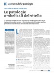 Le patologie ombelicali del vitello